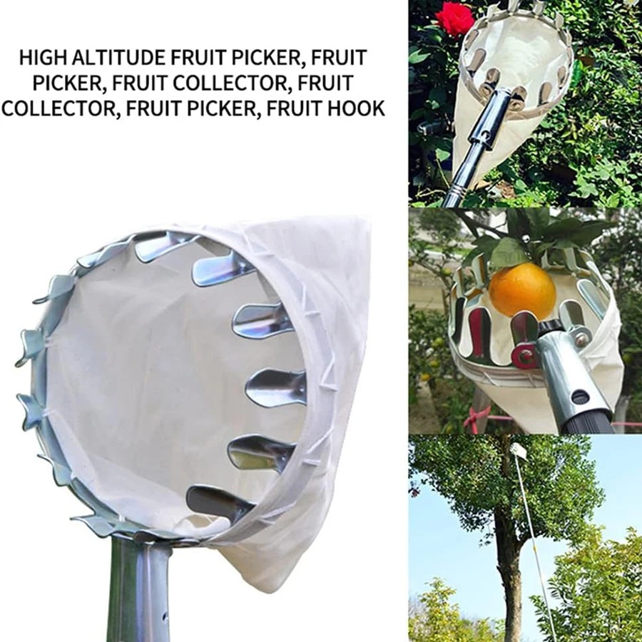 Adjustable Tree Collector Mult - đánh giá và giá Bonsai Garden Tree
