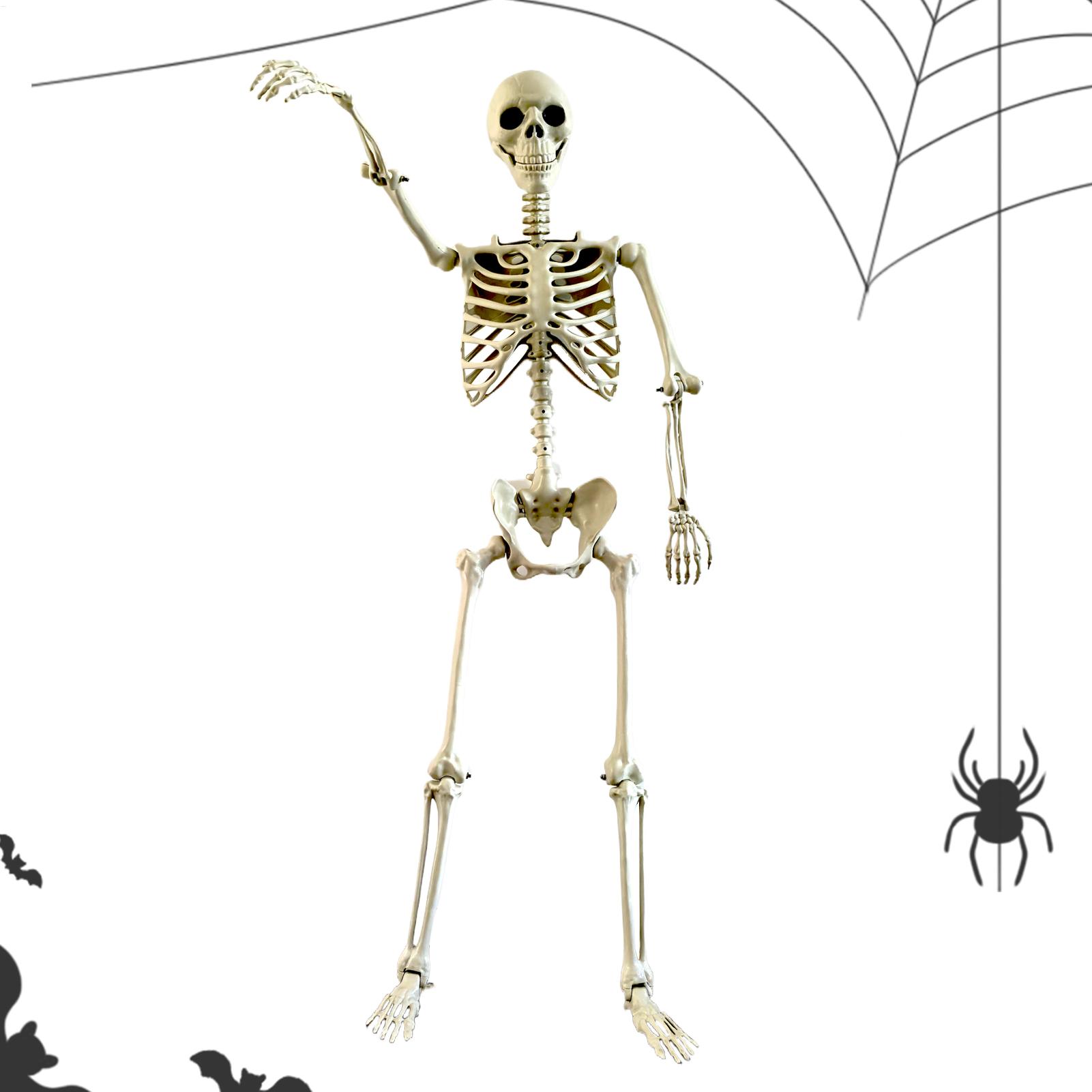 Halloween Outdoor Skeletons Re - đánh giá và giá Bonsai Garden Ideas