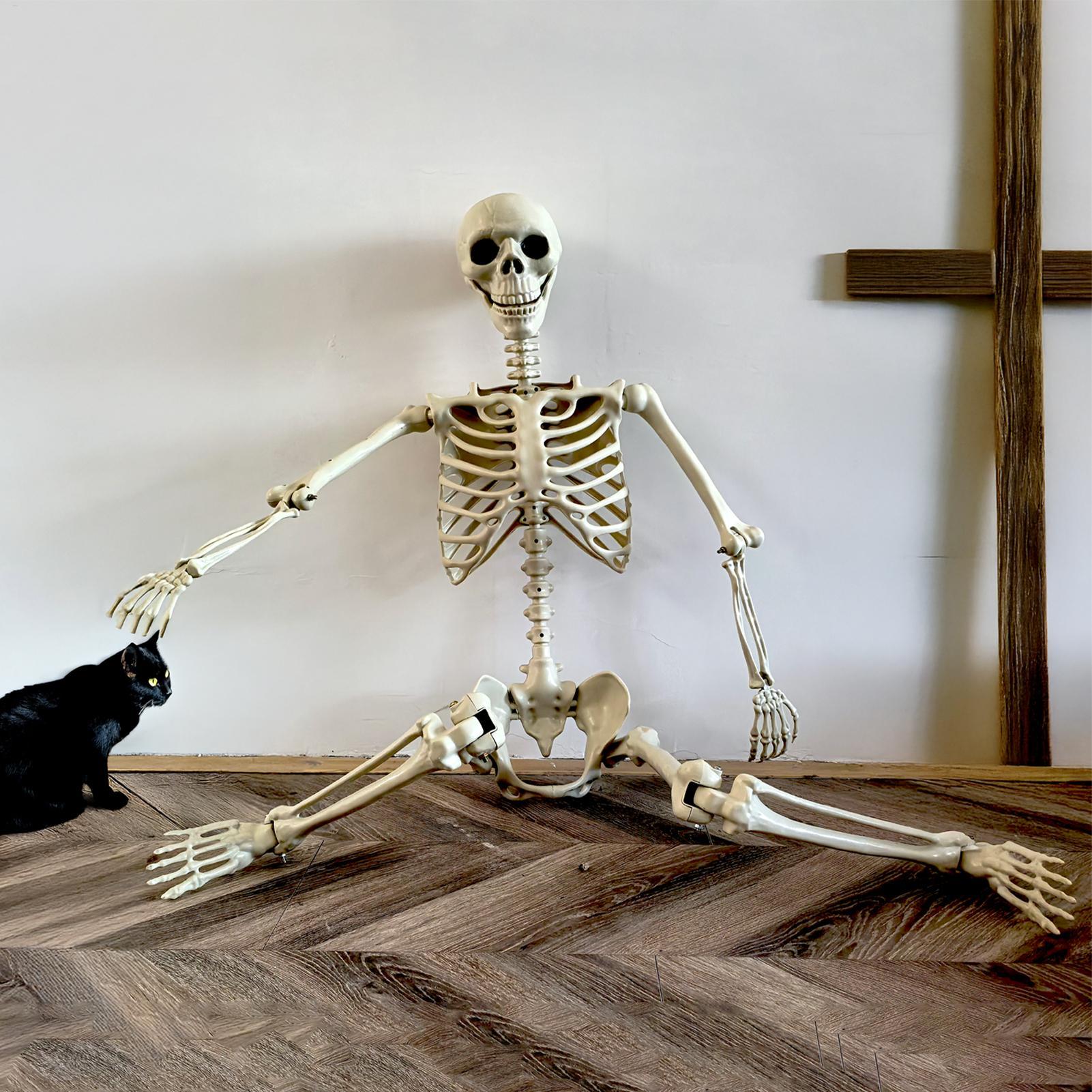 Halloween Outdoor Skeletons Re - đánh giá và giá Bonsai Garden Ideas