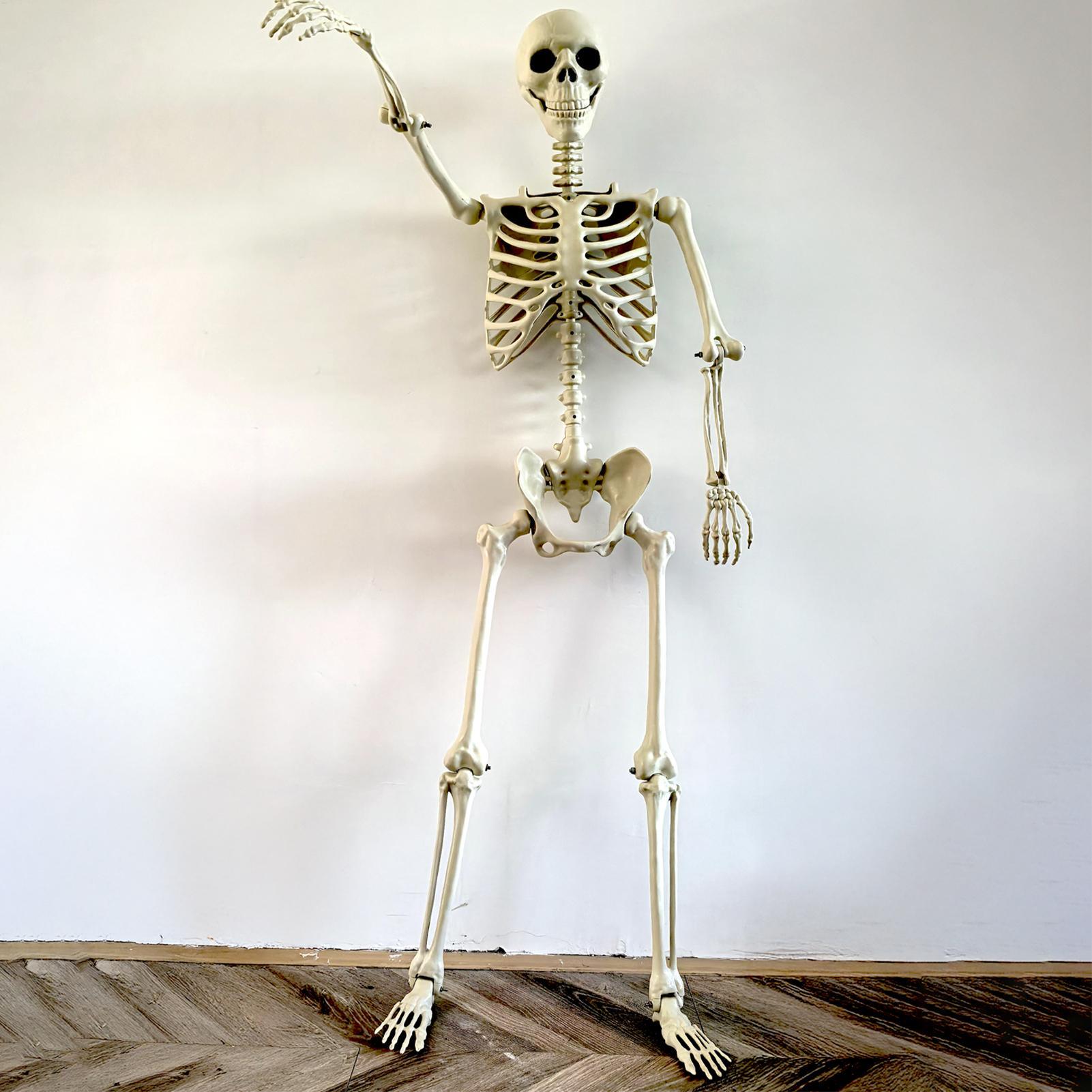 Halloween Outdoor Skeletons Re - đánh giá và giá Bonsai Garden Ideas