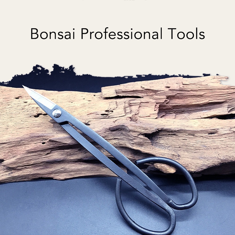 Stainless Steel Bonsai Scissor - đánh giá và giá Bonsai Tool Set