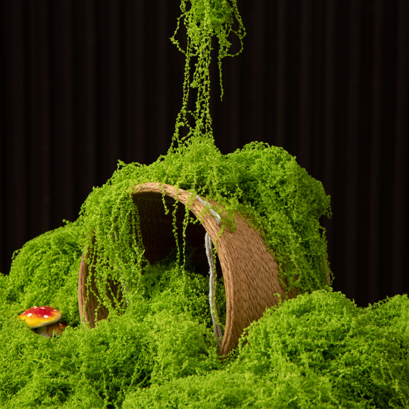 200g Eternal Life Moss DIY Cra - đánh giá và giá Bonsai Garden Ideas