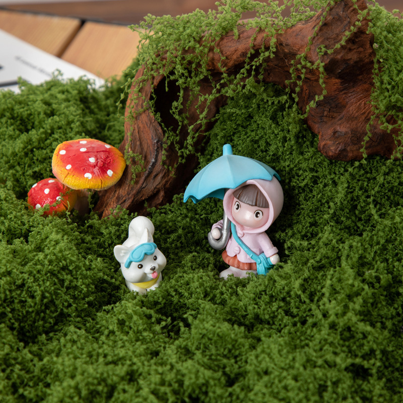 200g Eternal Life Moss DIY Cra - đánh giá và giá Bonsai Garden Ideas