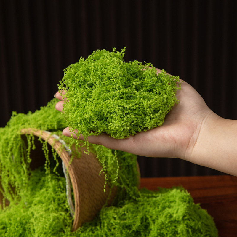 200g Eternal Life Moss DIY Cra - đánh giá và giá Bonsai Garden Ideas