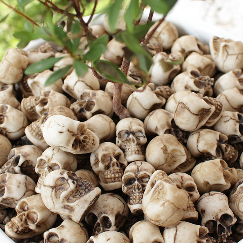 ● 20pcs Mini Skulls Halloween  - đánh giá và giá Bonsai Garden Ideas