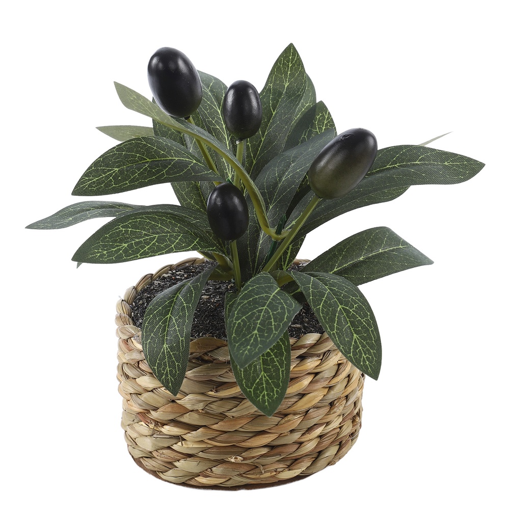 Artificial Olive Tree Potted P - đánh giá và giá Bonsai Garden Zen