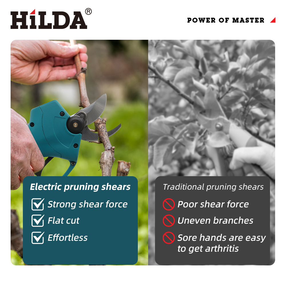 HILDA 18V Brushless Cordless E - đánh giá và giá Bonsai Garden Tree