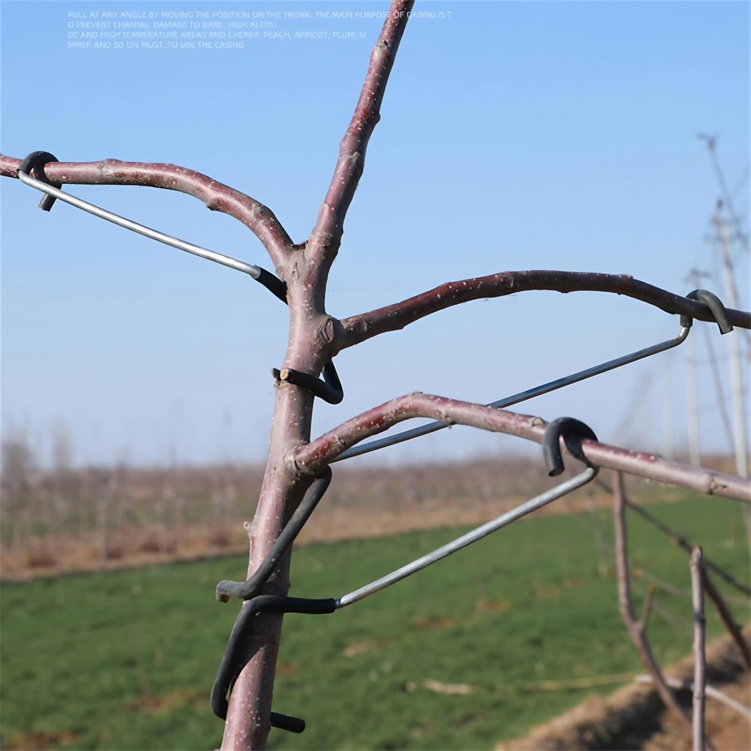 Adjustable Fruit Tree Branch S - đánh giá và giá Bonsai Garden Tree