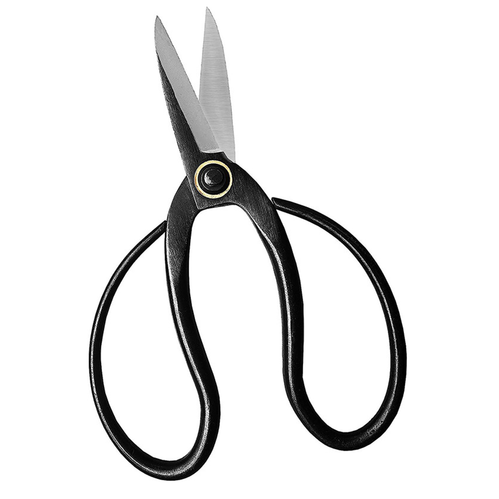 Professional Bonsai Scissors T - đánh giá và giá Bonsai Tool Set