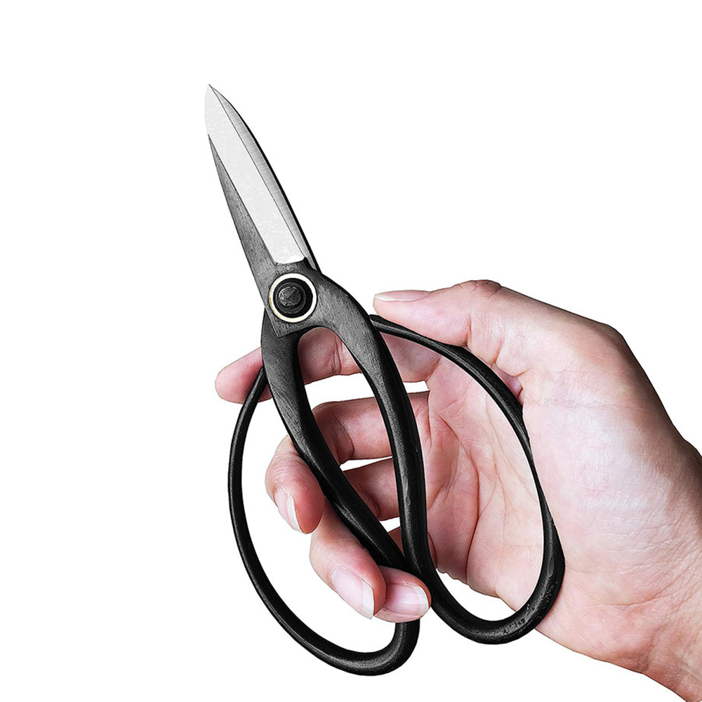 Professional Bonsai Scissors T - đánh giá và giá Bonsai Tool Set