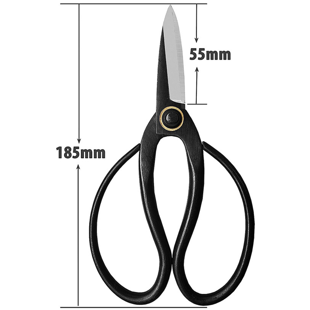 Professional Bonsai Scissors T - đánh giá và giá Bonsai Tool Set