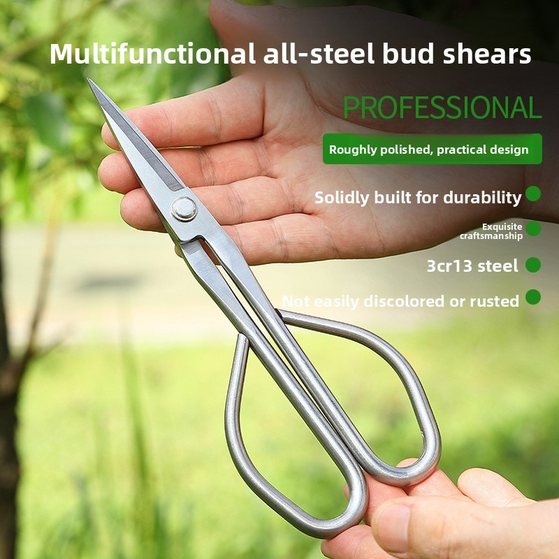 Tender Leaf Scissors Bonsai To - đánh giá và giá Bonsai Tool Set
