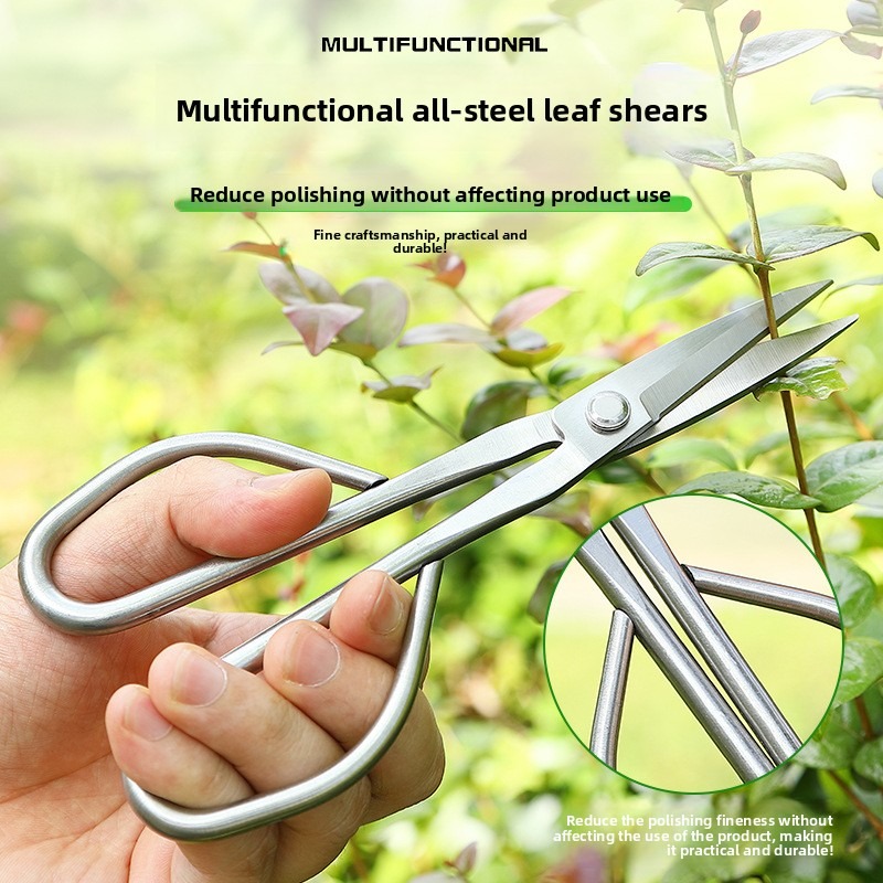 Tender Leaf Scissors Bonsai To - đánh giá và giá Bonsai Tool Set