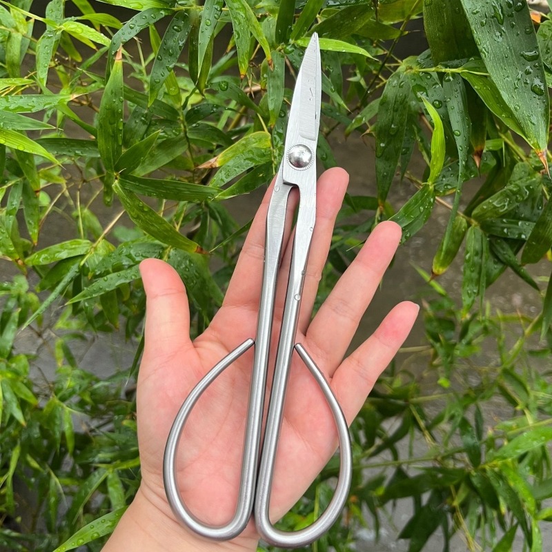 Tender Leaf Scissors Bonsai To - đánh giá và giá Bonsai Tool Set