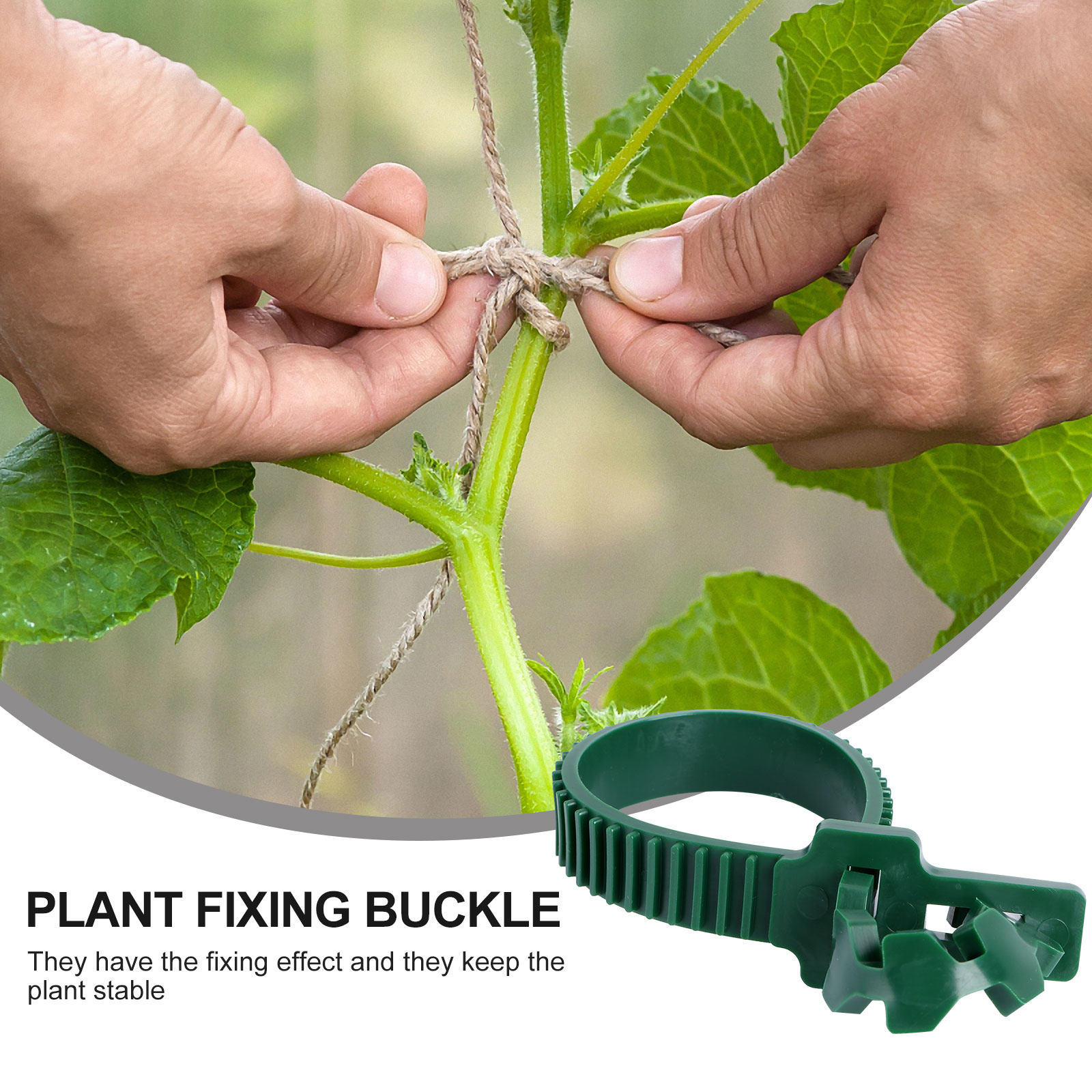 20Pcs Vine Fixing Buckle Garde - đánh giá và giá Bonsai Garden Tree