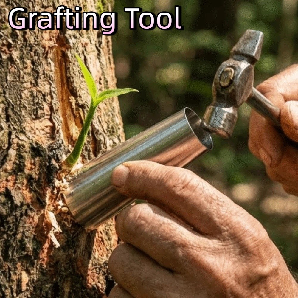 5Pcs Stainless Steel Bud-Graft - đánh giá và giá Bonsai Tool Set