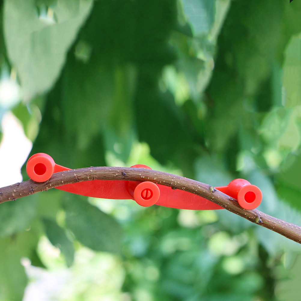 10Pcs Flexible Plant Benders A - đánh giá và giá Bonsai Garden Tree