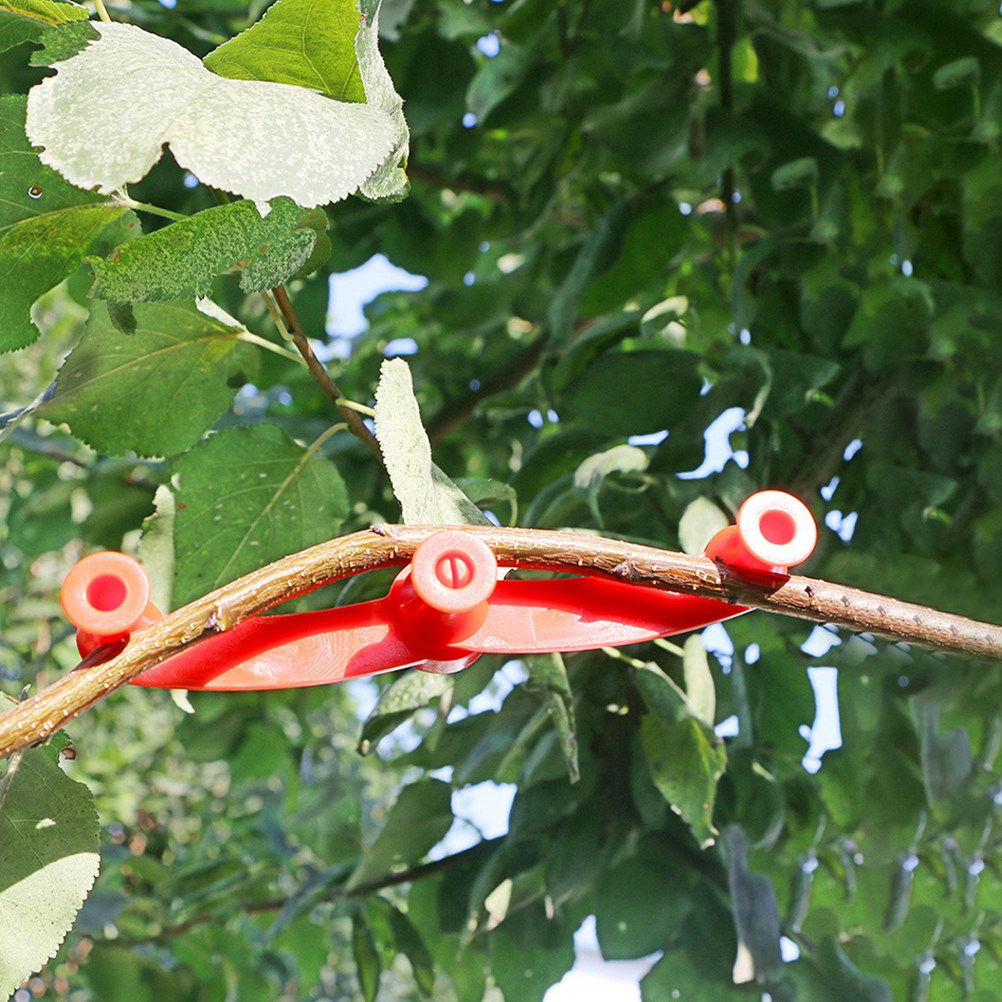 10Pcs Flexible Plant Benders A - đánh giá và giá Bonsai Garden Tree
