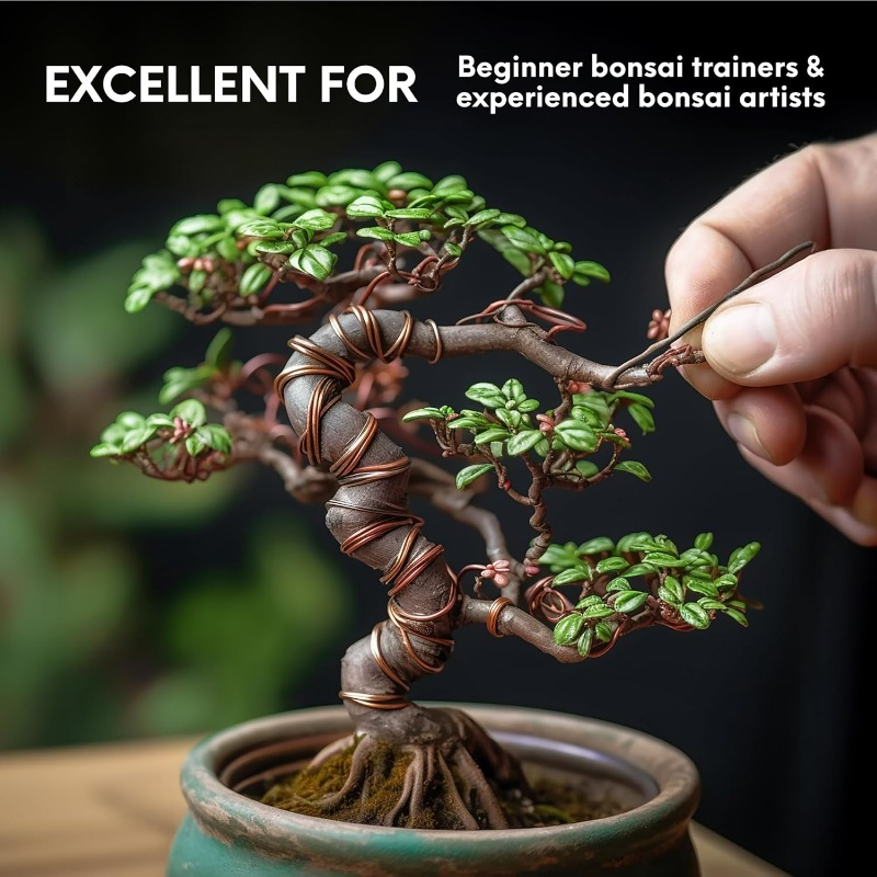 5M Bonsai Training Wire Set fo - đánh giá và giá Bonsai Tool Set
