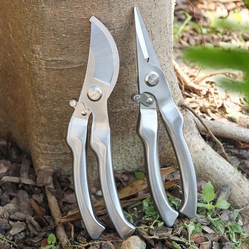 All Stainless Steel Profession - đánh giá và giá Bonsai Tool Set