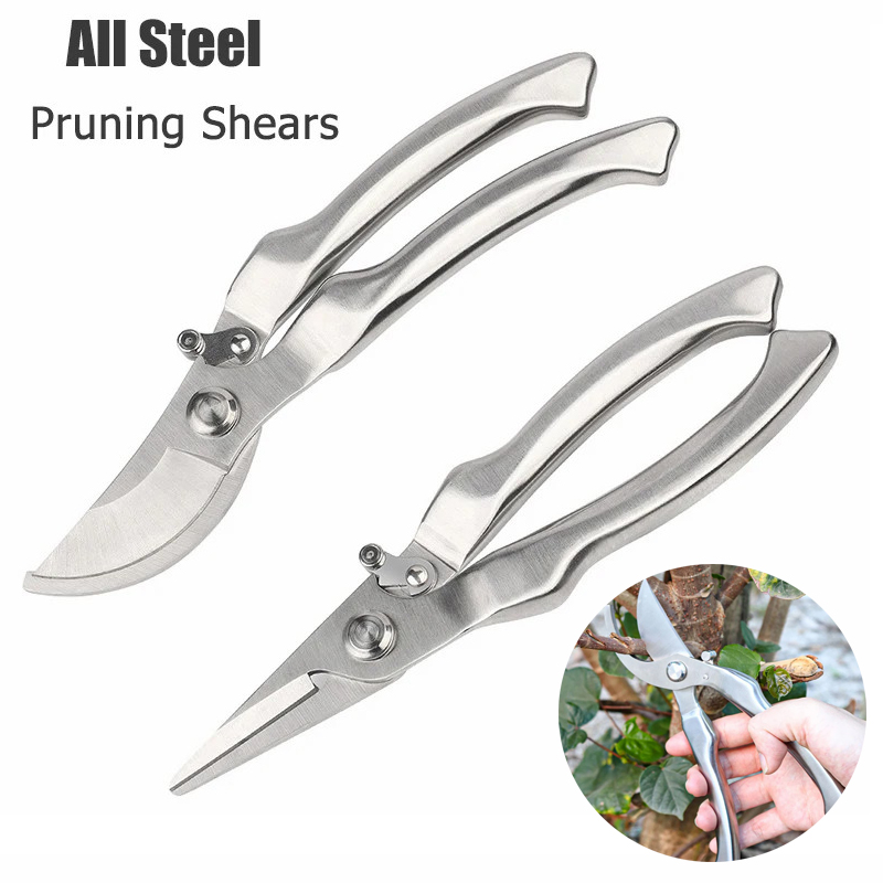 All Stainless Steel Profession - đánh giá và giá Bonsai Tool Set