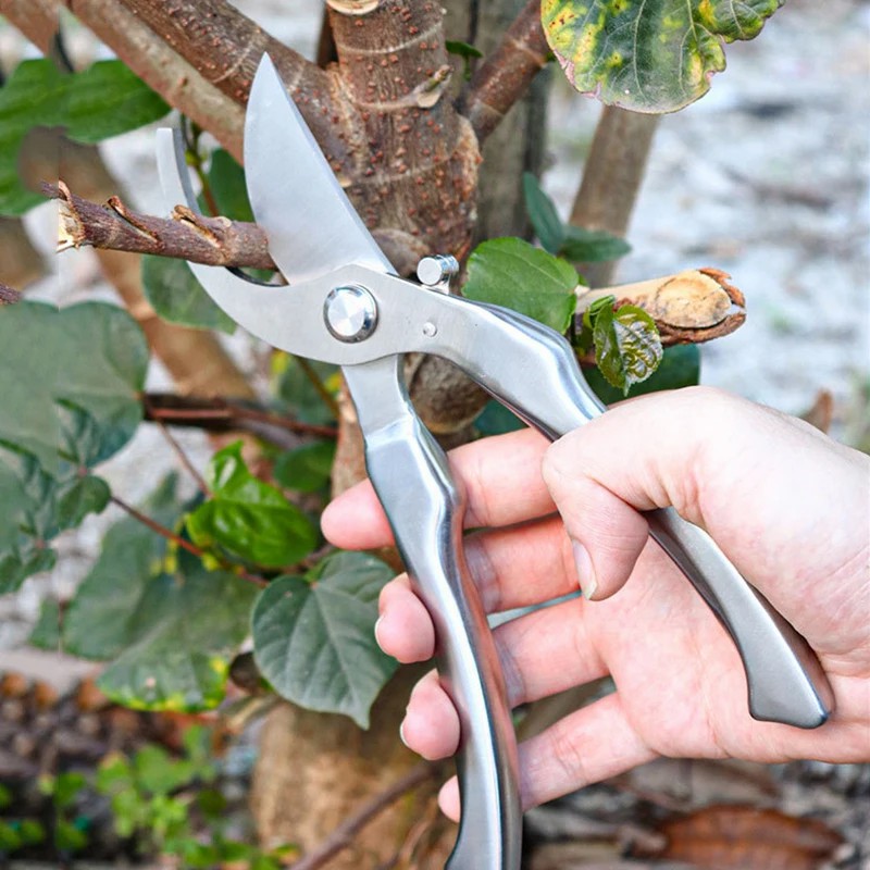 All Stainless Steel Profession - đánh giá và giá Bonsai Tool Set