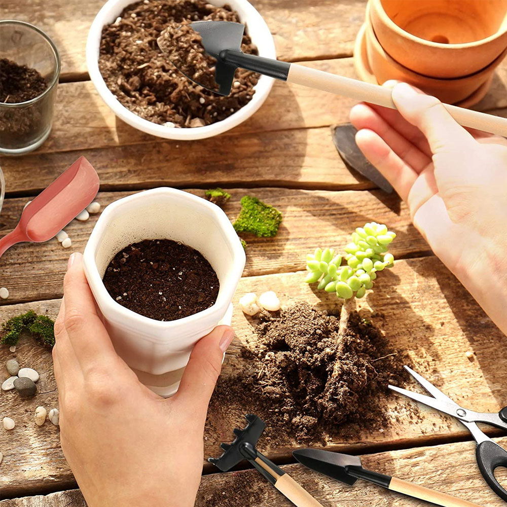 Succulent Plants Tools Mini Ga - đánh giá và giá Bonsai Garden Miniature