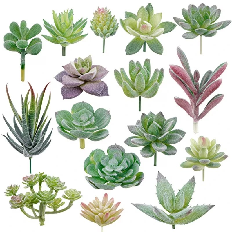 10/20Pcs PVC Succulents Plants - đánh giá và giá Bonsai Garden Ideas
