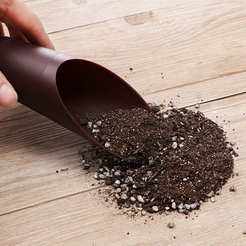 1PC Plastic Soil Shovel Cup Fo - đánh giá và giá Bonsai Garden Zen